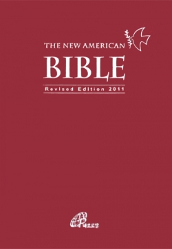 THE NEW AMERICAN BIBLE (소) / 바오로딸
