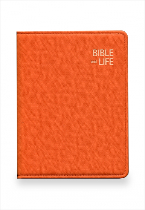 휴대용 쓰기성경 Take & Write (일반형) - 주황색 / 생활성서