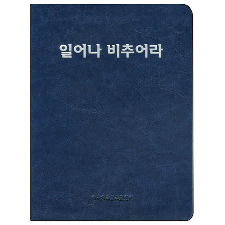 일어나 비추어라 (청년성가집) / 한국천주교주교회의