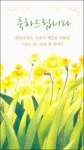 [상본] 수선화 / 5매 (592321) / 성바오로