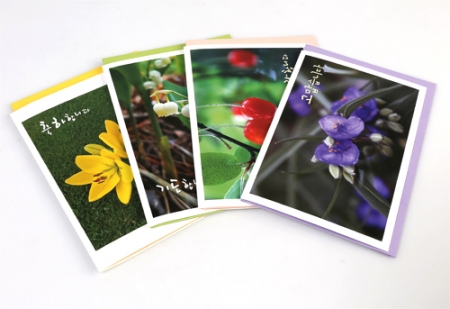 꽃사진 4종 카드 (5장 1세트) / 성바오로